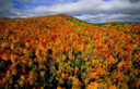 Outono florestais na região de Charlevoix, Quebec, Canadá
