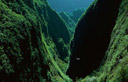 The Gorges of the Bras de Caverne, island of Réunion, France