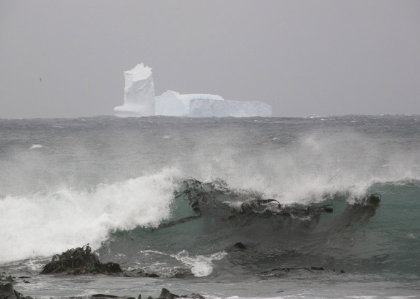 icebergs são avistados próximos de ilha australiana