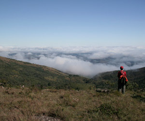 Foto: Divulga&ccedil;&atilde;o