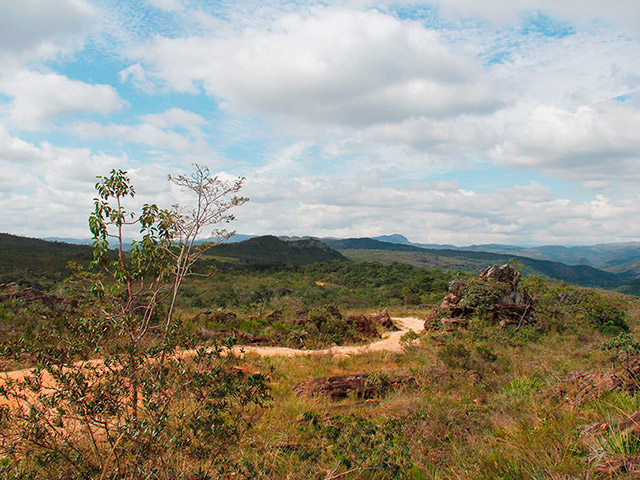 Foto: Amandina Morbeck