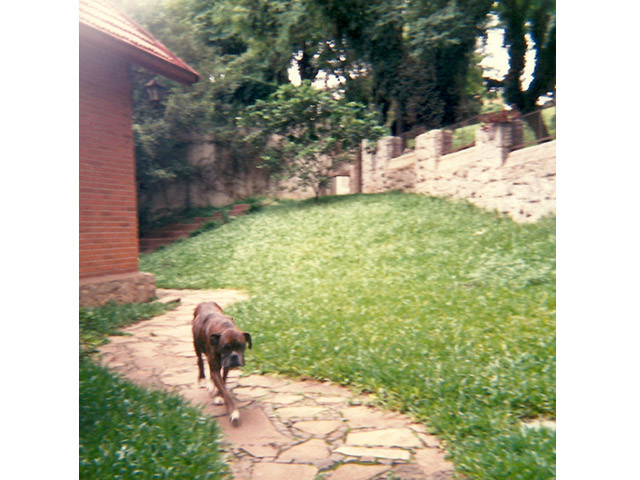 Foto: Ant�nio Calvo