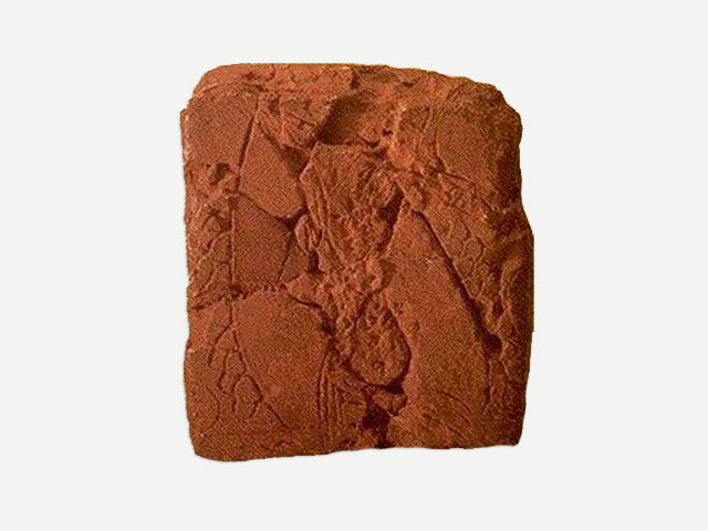 Foto: Divulga��o