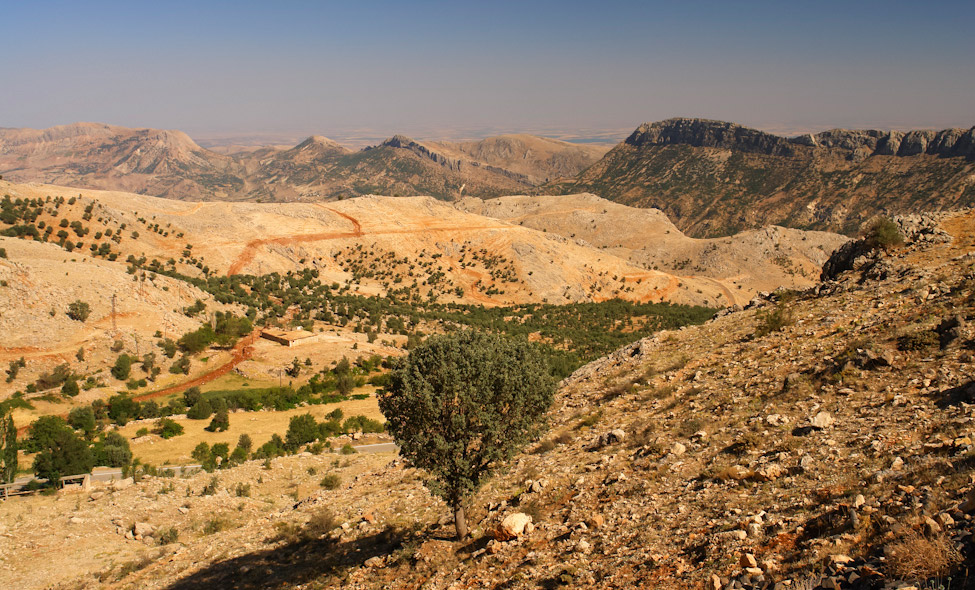 Foto: Arthur Sim�es