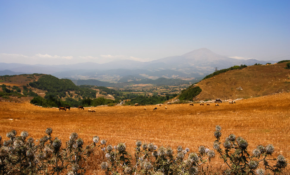 Foto: Arthur Sim�es