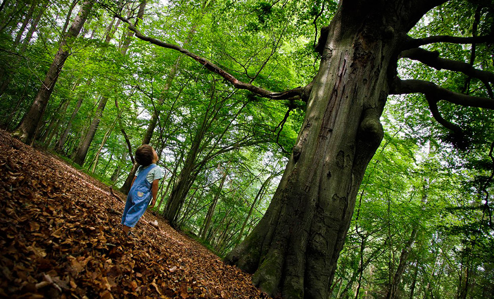 Foto: Rio Mountain Festival