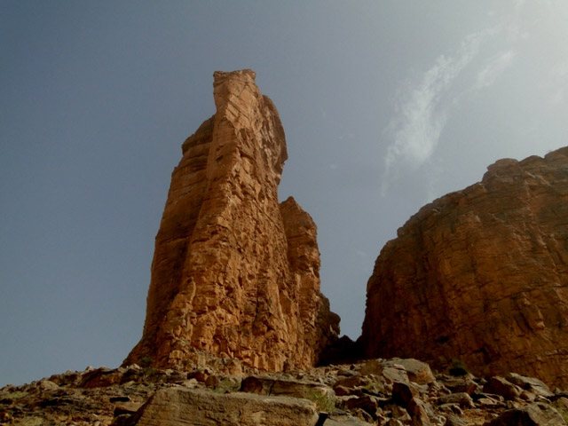 �l�phant visto de frente