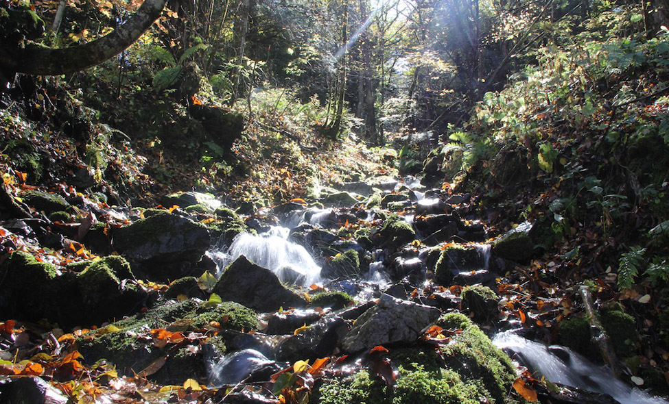 Foto: Fabiana Atallah