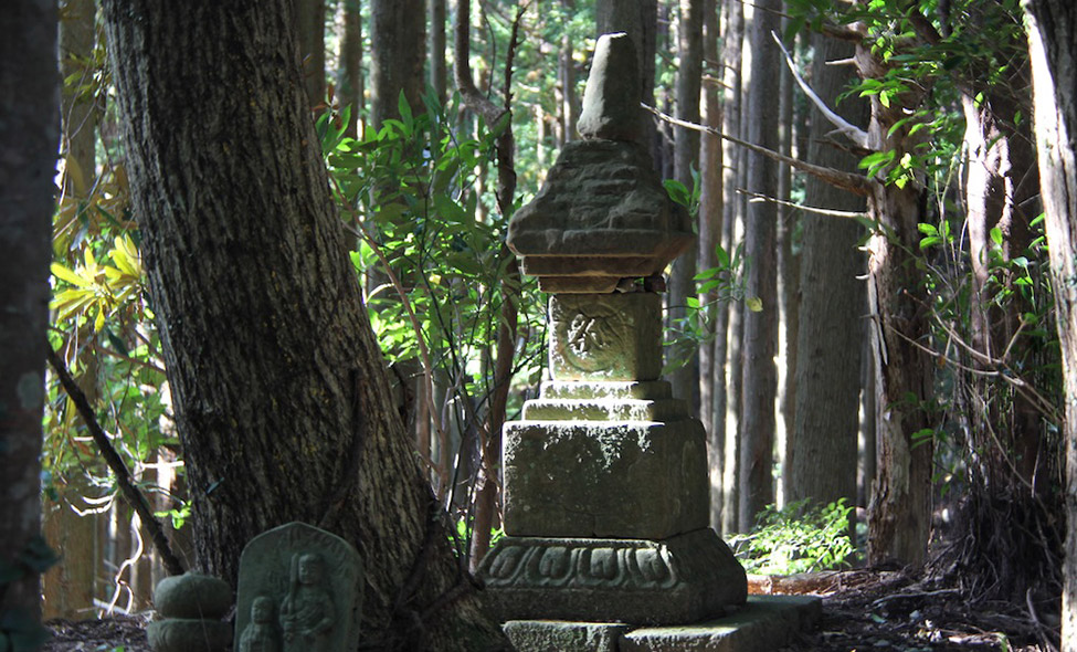 Foto: Fabiana Atallah