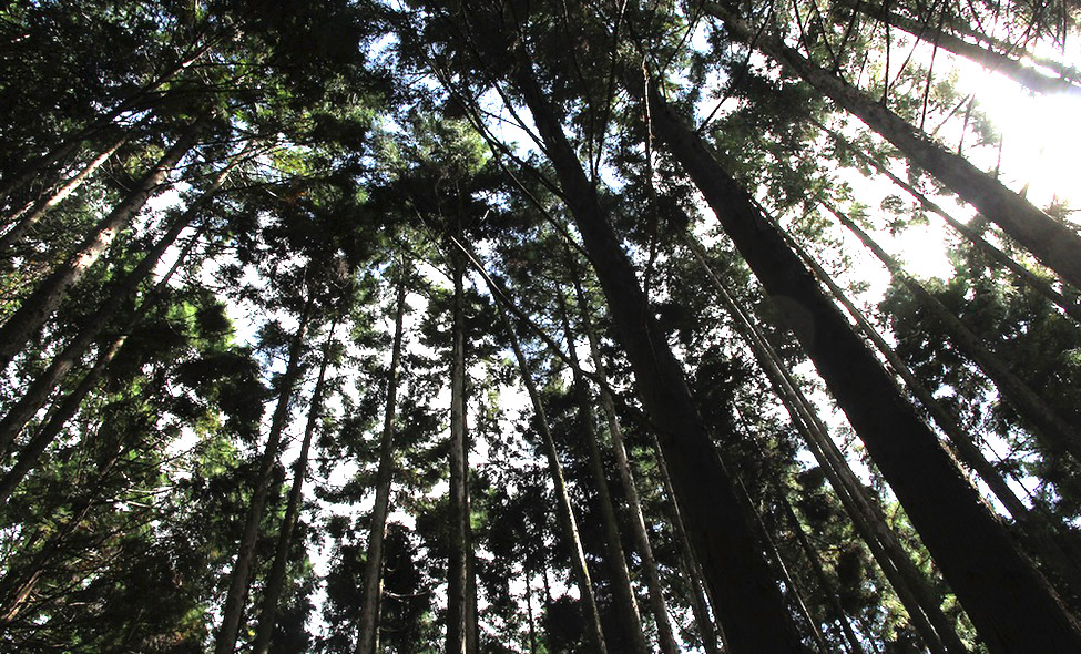 Foto: Fabiana Atallah