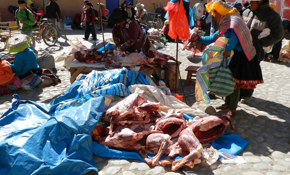 Foto: F�bio Eduardo da Silva