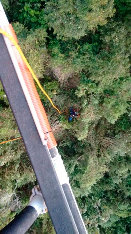 O socorro por terra de Luiz Antonio Gamb.