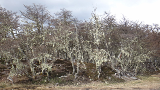 Expedi��o Transpatag�nia