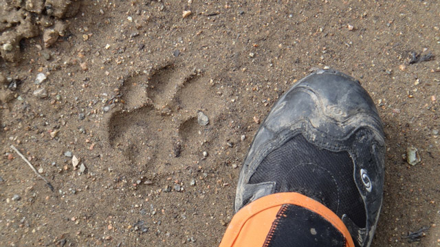 Expedi��o Transpatag�nia