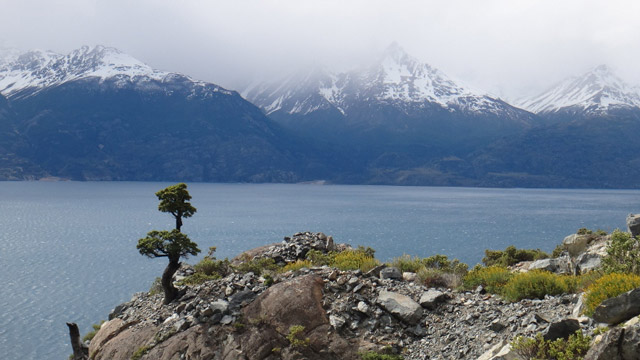 Expedi��o Transpatag�nia