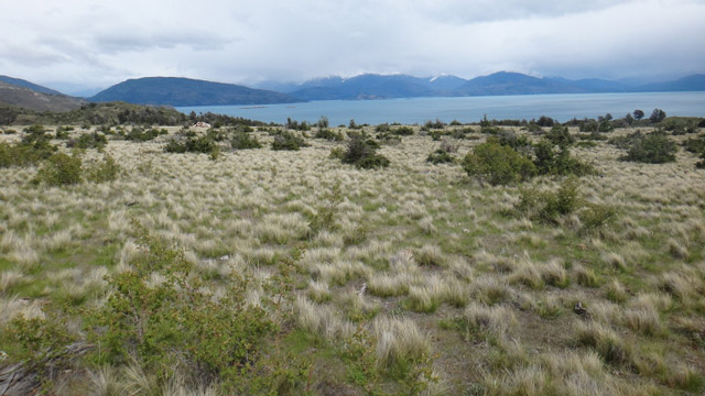 Expedi��o Transpatag�nia