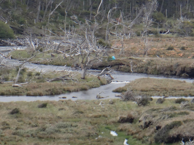 Expedi��o Transpatag�nia