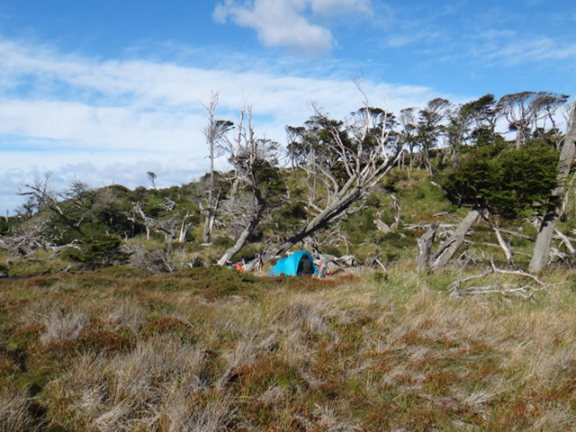 Expedi��o Transpatag�nia