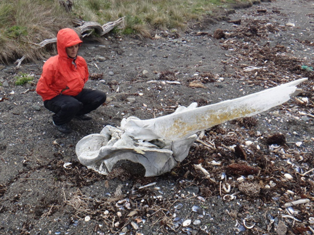 Expedi��o Transpatag�nia