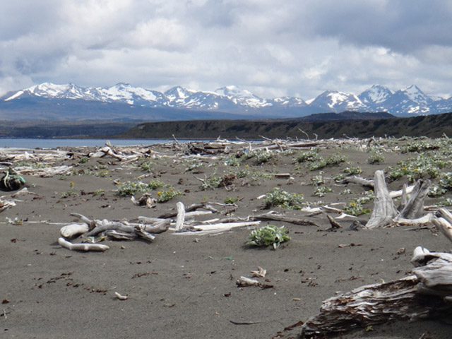 Expedi��o Transpatag�nia