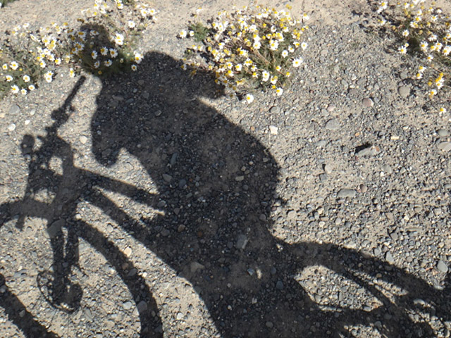 Expedi��o Transpatag�nia