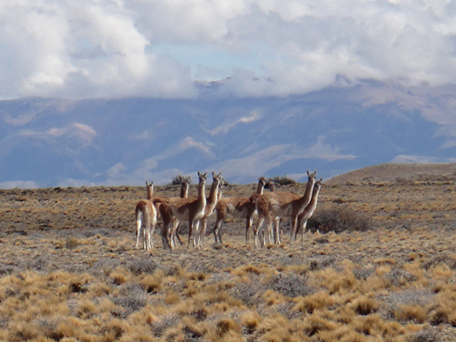 Expedi��o Transpatag�nia