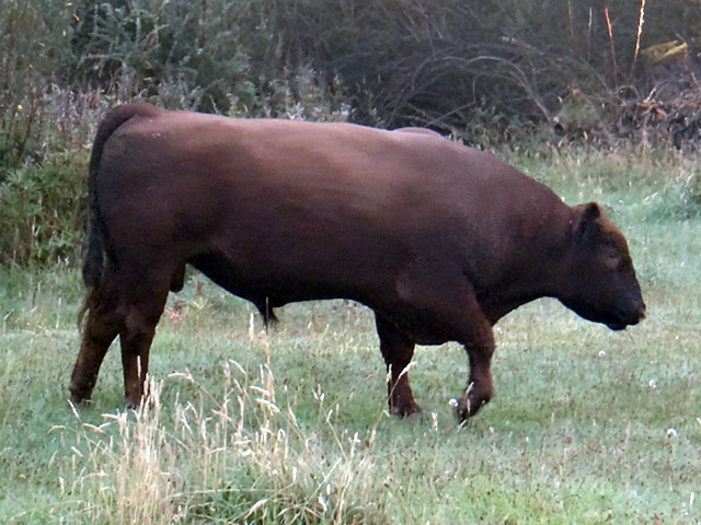 Expedi��o Transpatag�nia