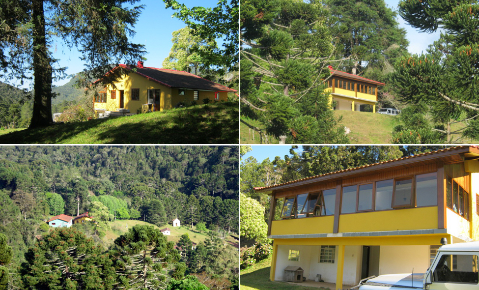 Foto: Guilherme Cavallari