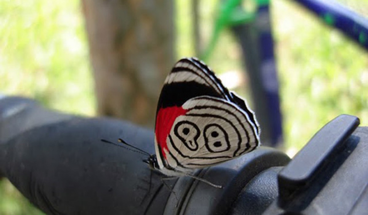 Bikes, amoras e transgressões