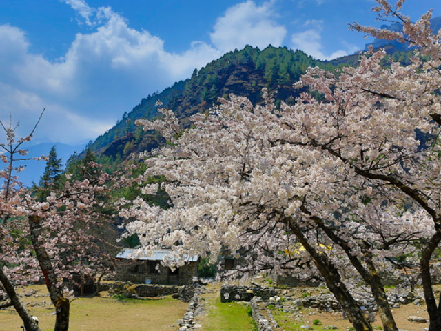 Foto: Divulga��o