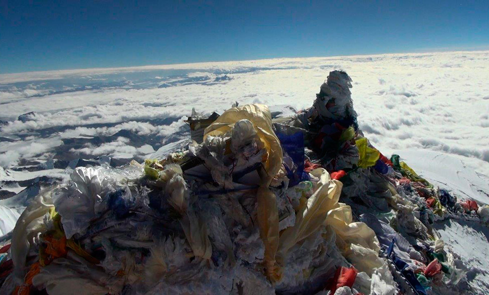 Screenshots: Pitaya Filmes