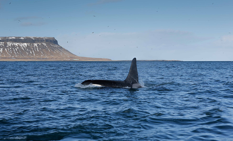 Fotos: Jeffrey Cunningham e Rick Baraff