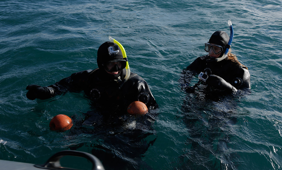 Fotos: Jeffrey Cunningham e Rick Baraff