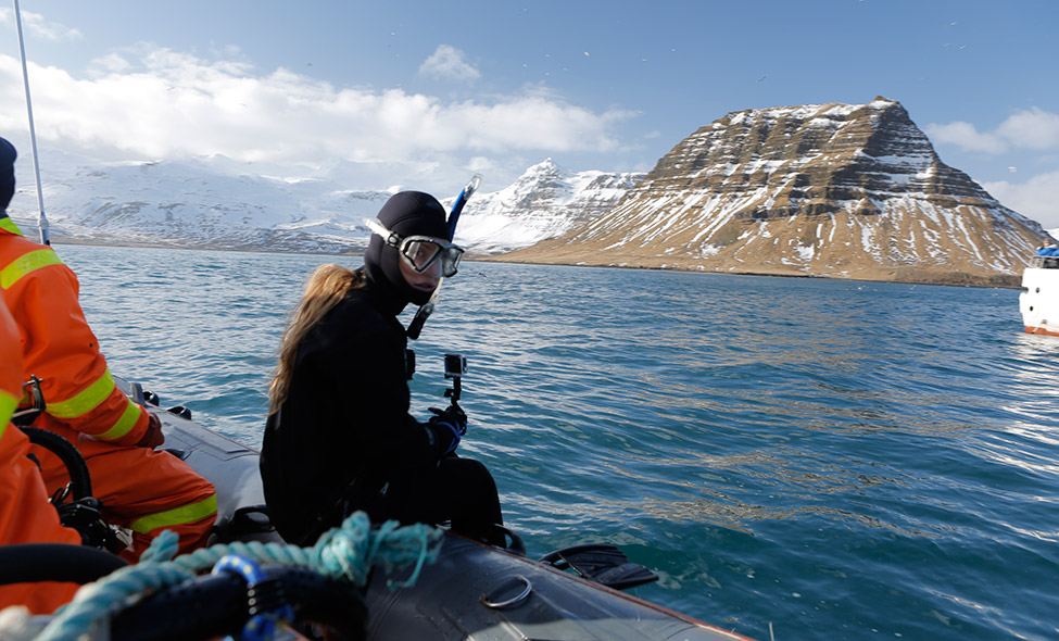 Fotos: Jeffrey Cunningham e Rick Baraff