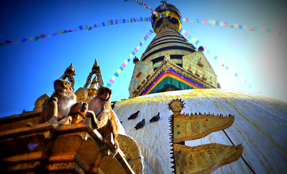 Foto: Pablo Bucciarelli