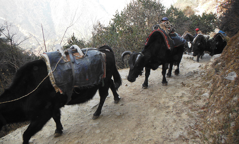 Foto: Pablo Bucciarelli