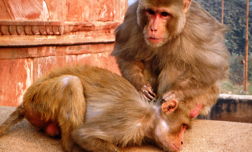 Foto: Pablo Bucciarelli