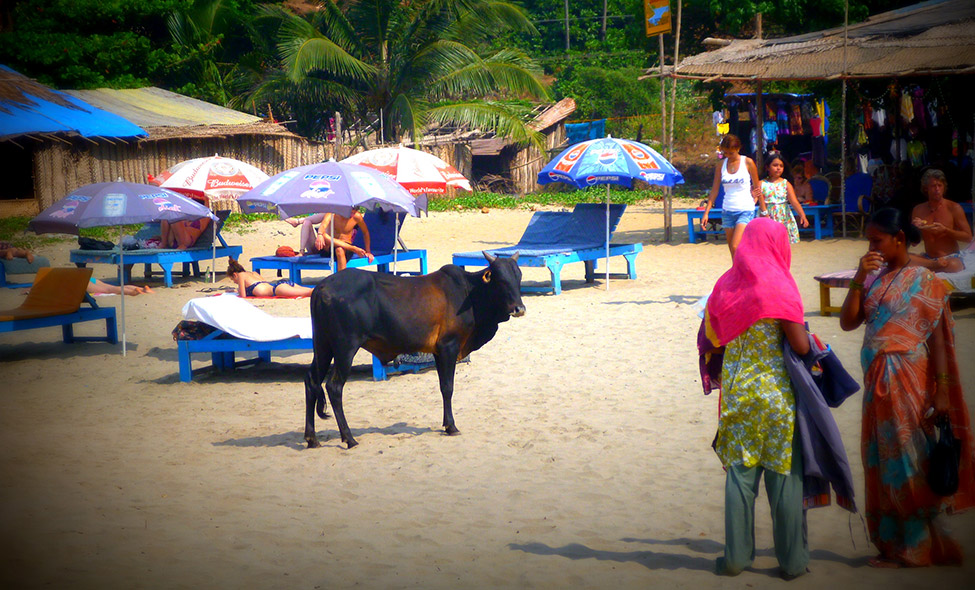 Foto: Pablo Bucciarelli