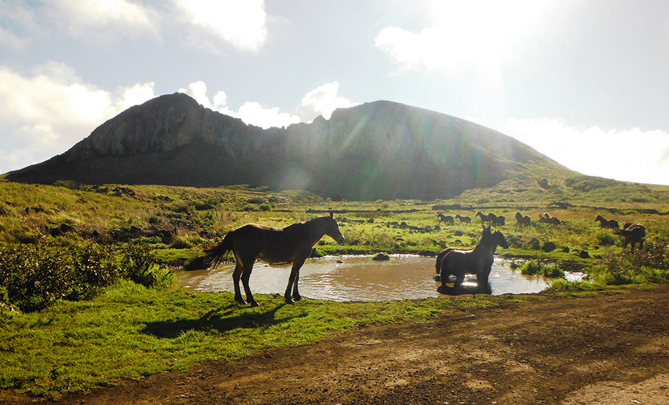 Foto: Pablo Bucciarelli