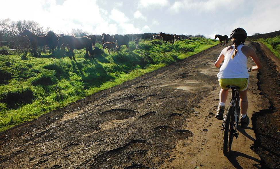 Foto: Pablo Bucciarelli