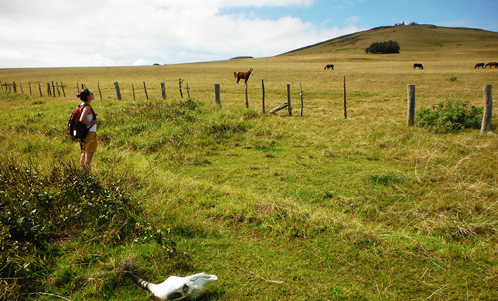 Foto: Pablo Bucciarelli
