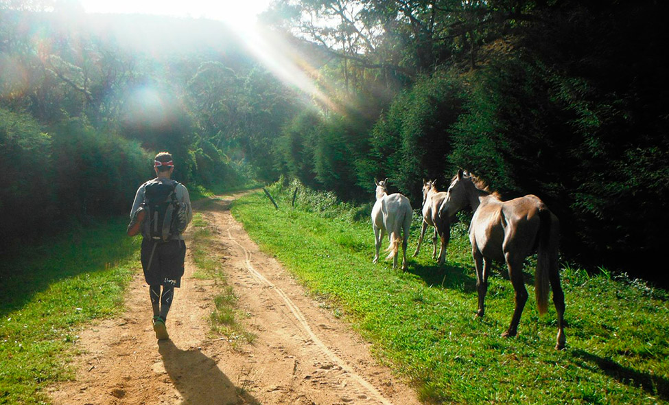 Foto: Pablo Bucciarelli