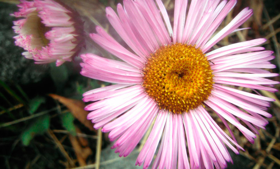 Foto: Pablo Bucciarelli