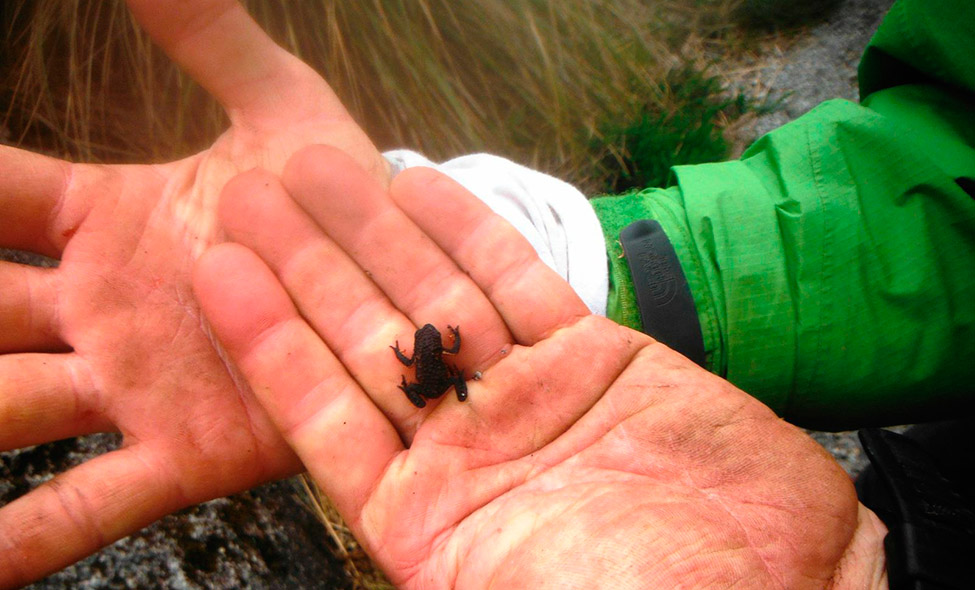 Foto: Pablo Bucciarelli