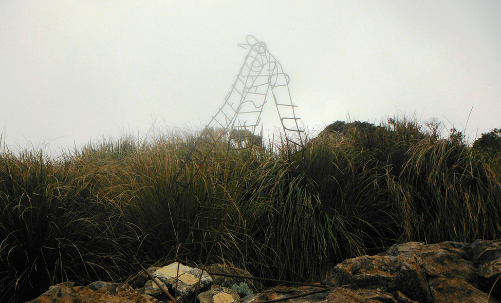 Foto: Pablo Bucciarelli