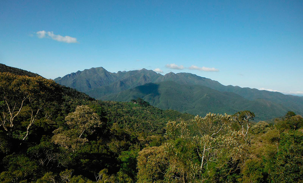 Foto: Pablo Bucciarelli