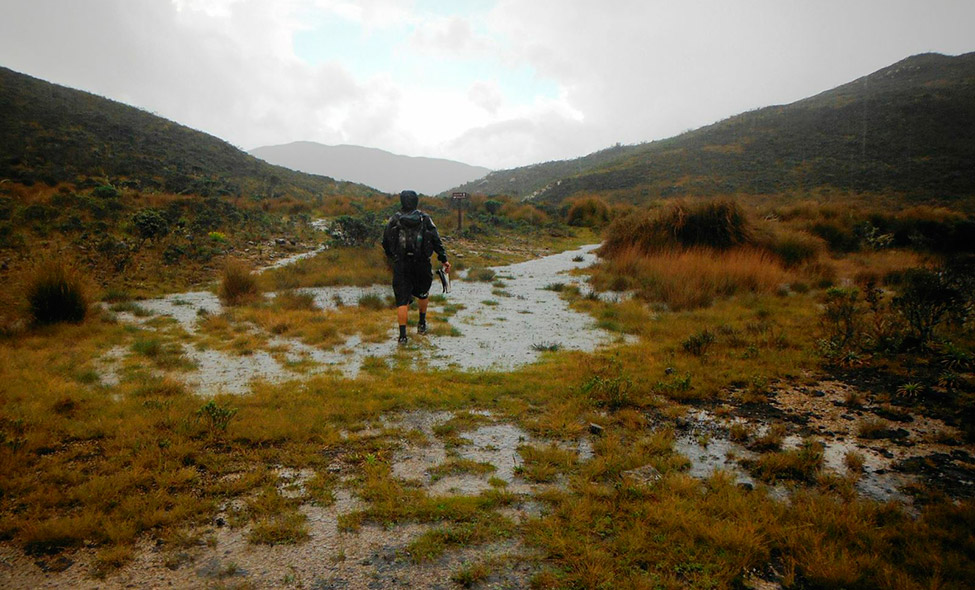 Foto: Pablo Bucciarelli