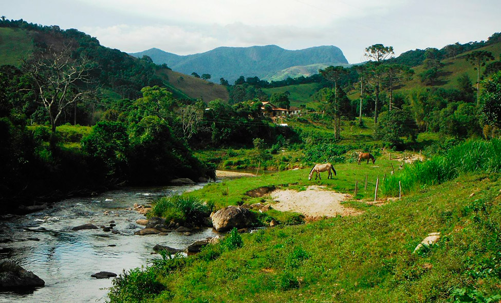 Foto: Pablo Bucciarelli