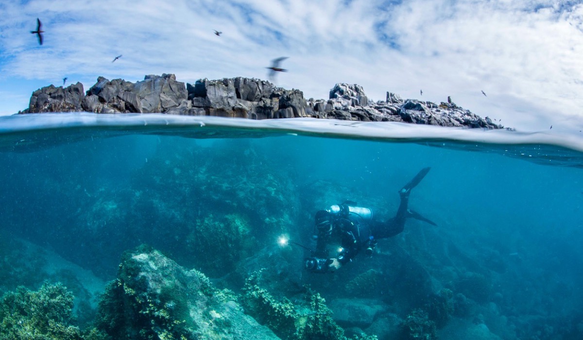 Expedição Abrolhos