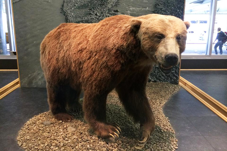 Foto: Rodrigo Raineri